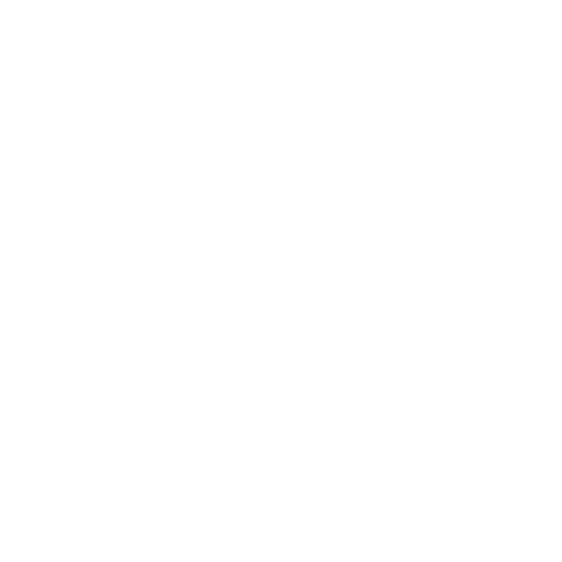 Bank Transfer